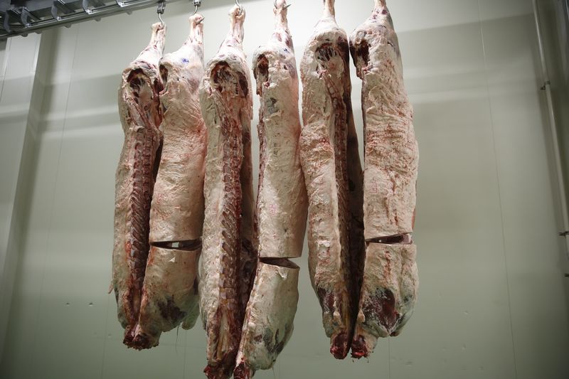 Wagyu sides in the temperature-controlled chiller room