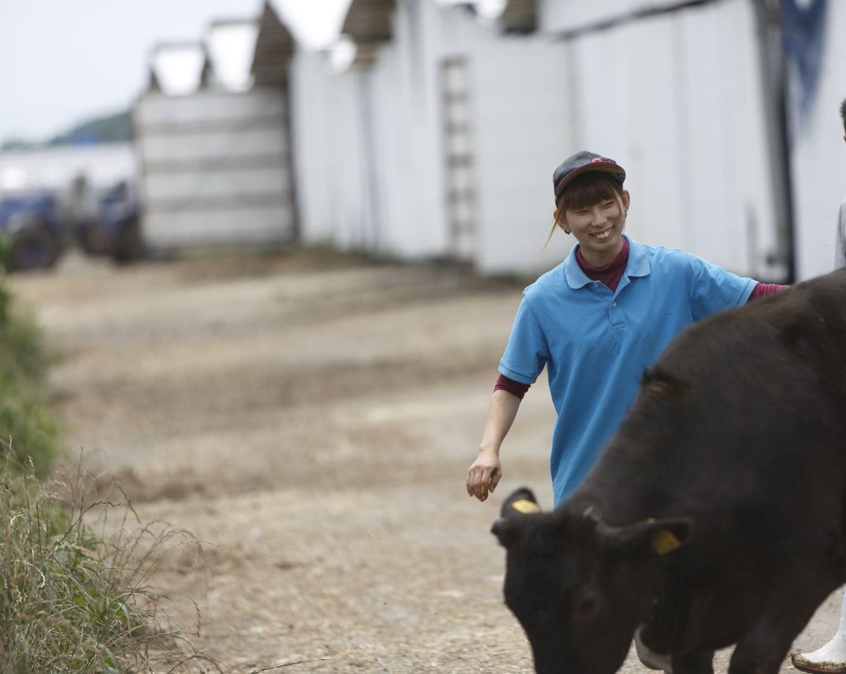 A farmer walking with his cattle